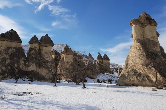Tour image 7