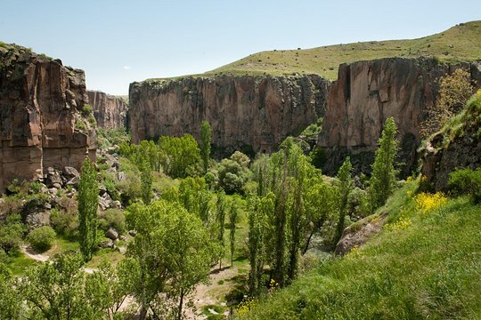 Tour image 7