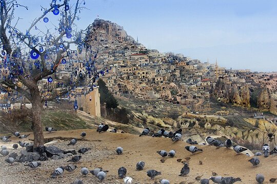 Tour image 14